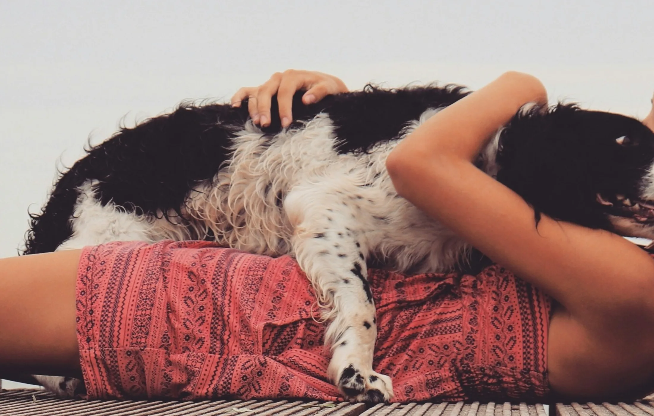 A dog resting on a blanket while its owner keeps notes nearby