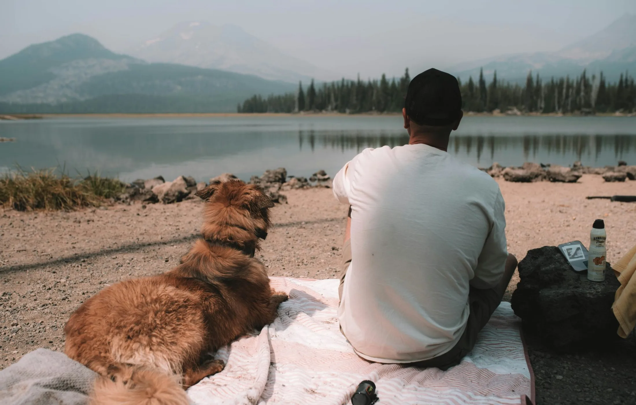 A senior dog resting beside its owner outdoors