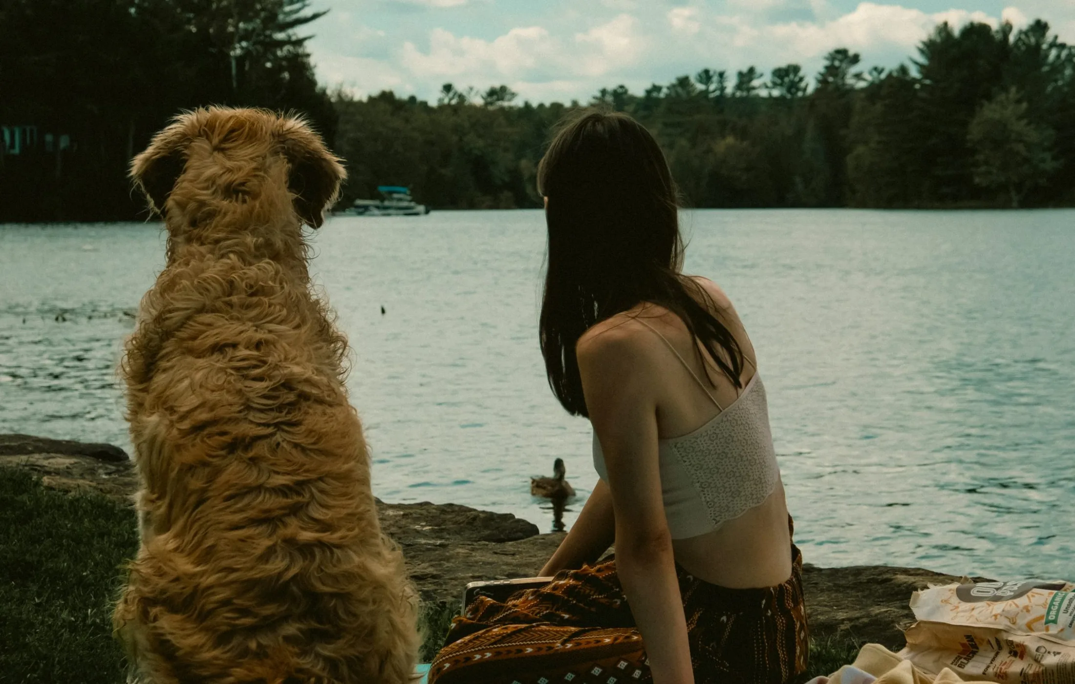 A dog standing beside its owner on a wooded path