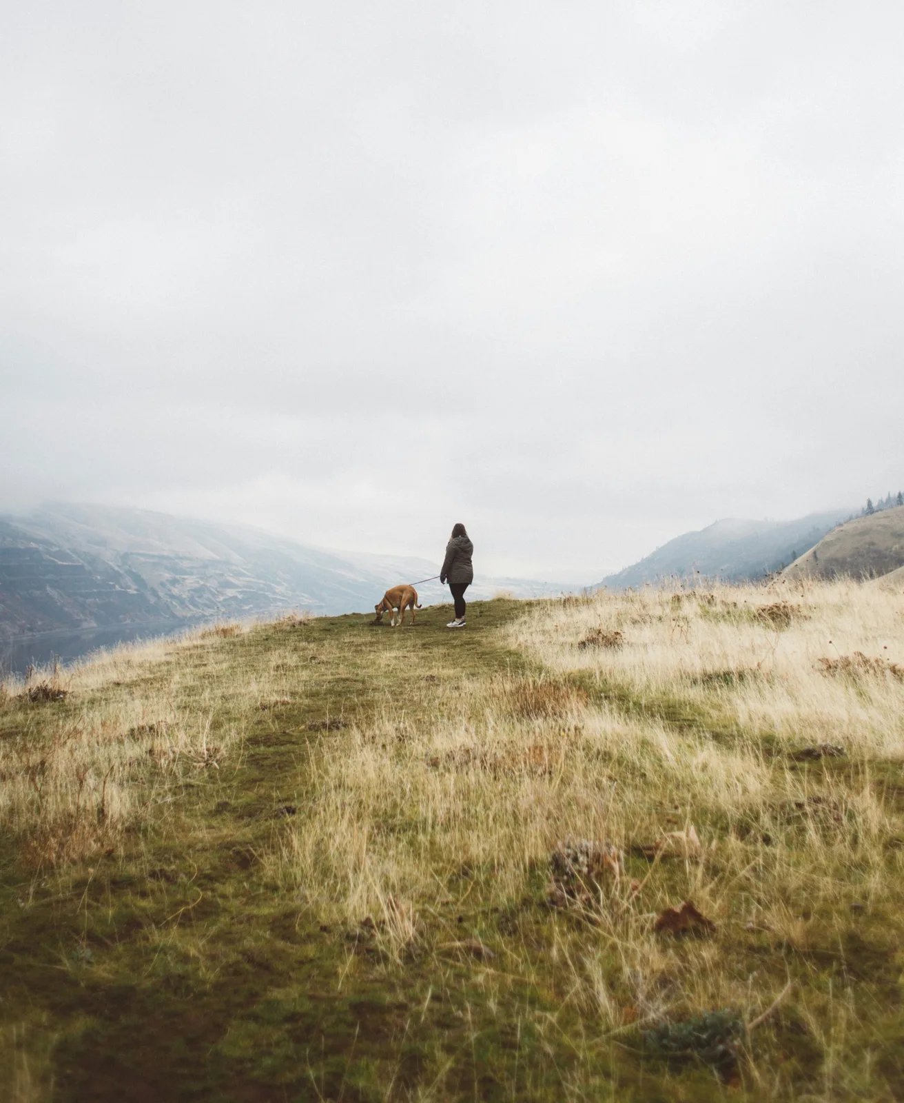 A dog and their owner walking together on a quiet mountain path