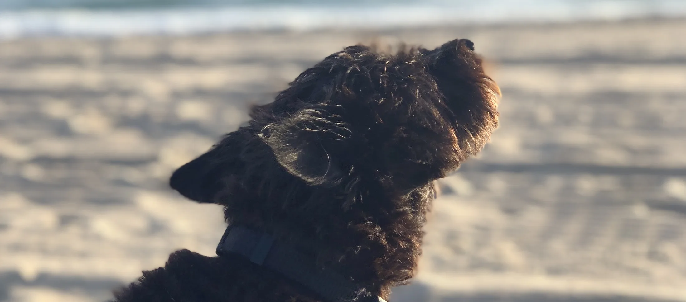 Ben and Charlie together outdoors